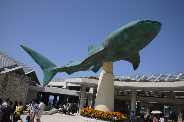 ♬『2013沖繩親子遊』Day2. 沖繩美之海水族館-親子必遊行程♬